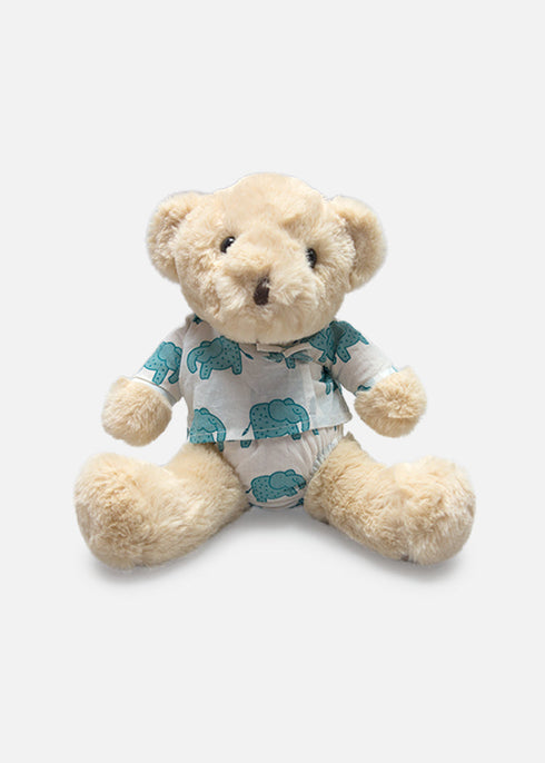 Cute Sitting Bear Teddy